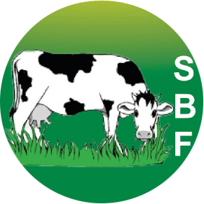 SBF Logo